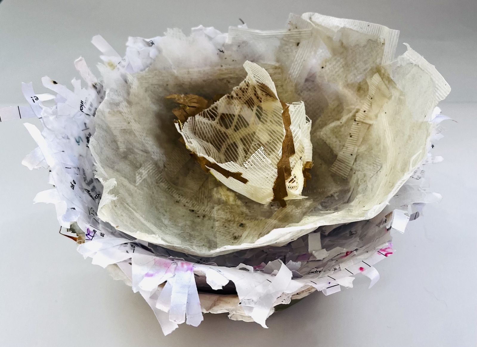 3D form from the Secondary lesson Exploring biomorphic sculptures using papier mâché, from the unit Being curious about 3D design