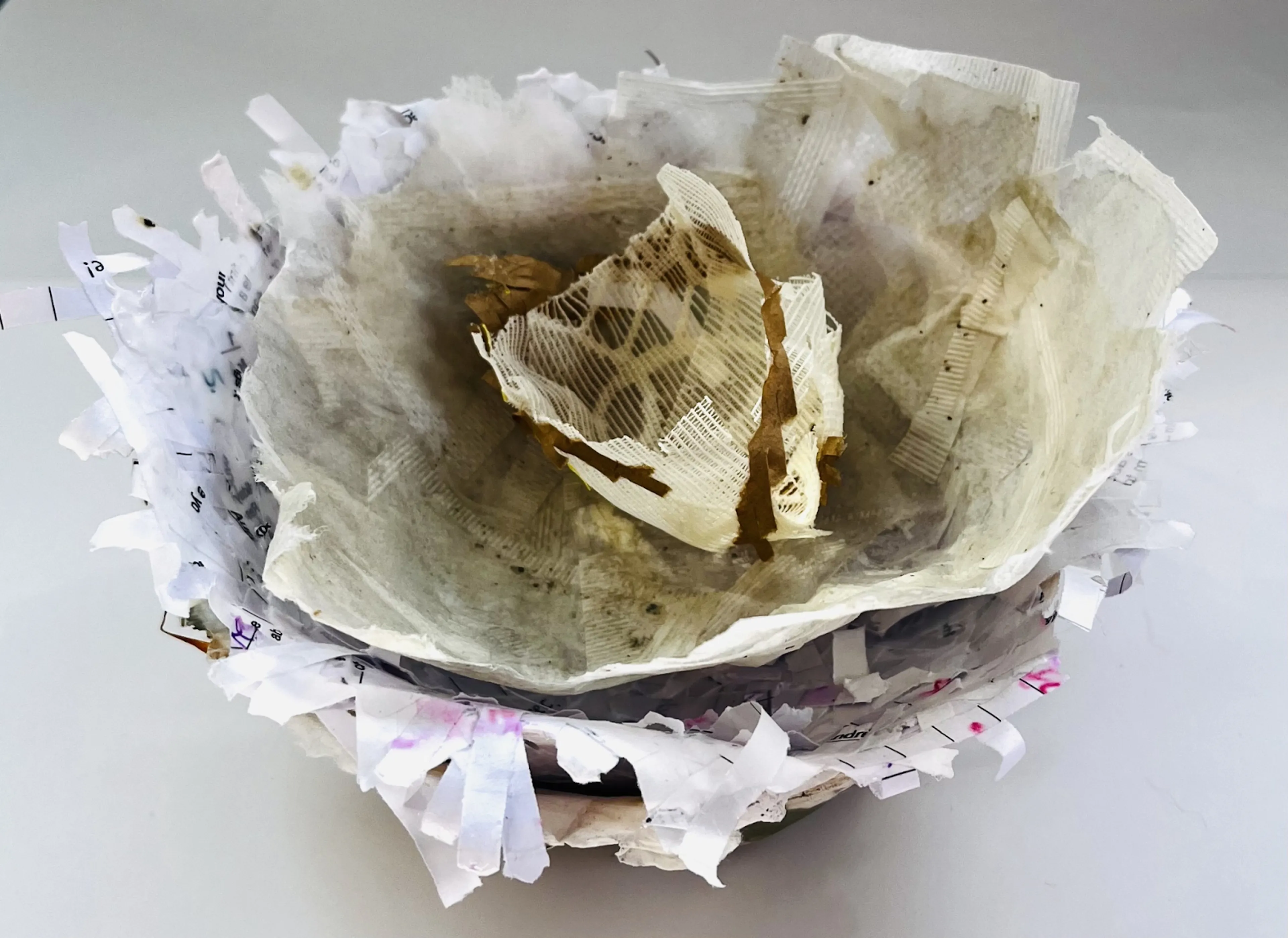 3D form from the Secondary lesson Exploring biomorphic sculptures using papier mâché, from the unit Being curious about 3D design