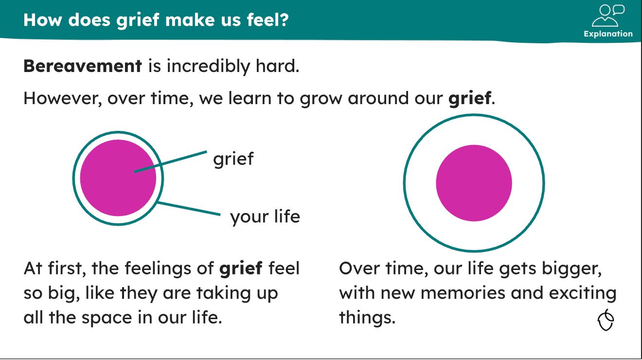 From the lesson ‘Coping with grief’ in the year 4 unit ‘Healthy relationships: Do all families look the same?’