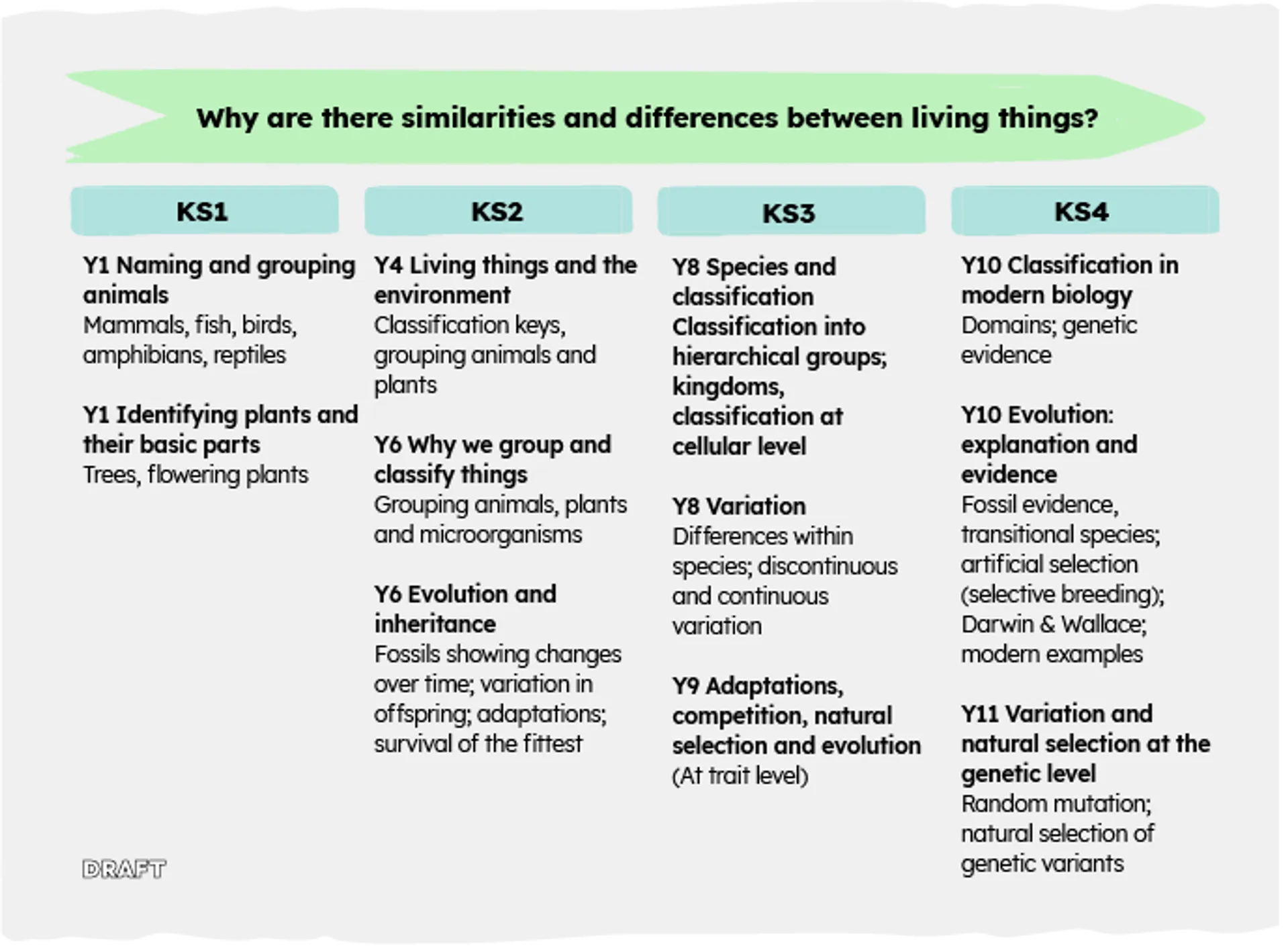 Illustrated is the coverage of the 'big question' - why are there similarities and differences between living things? In KS1, Year 1 pupils will cover the unit, Naming and grouping animals which teaches them about mammals, fish, birds, amphibians and reptiles. In Y1 they will also cover identifying plants and their basic parts which includes trees and flowering plants. Moving into key stage two offers children the opportunity in year 4 to cover the topic, Living things and the environment. In this unit pupils will look at classification keys, grouping animals and plants. In Year 6, the unit relevant to this 'big question' is known as why we group and classify things, which again involves the grouping of animals and plants but now also microorganisms. Evolution and inheritance is also a suggested unit for year 6. Within this unit pupils cover fossils and their changes over time, variation in offspring, adaptations and survival of the fittest. Into secondary phases, in key stage 3 and year 8 in particular pupils will study species and classification as well as a unit on variation. This unit covers the differences within species, discontinuous and continuous variation. In year 9 pupils will cover the topic - adaptations, competition, natural selection and evolution. Finally in ks4 there are 3 modules with the same question used as a thread. In year 10 pupils will look at classification in modern biology. This unit is based on domains and genetic evidence. Also in year 10 is a further unit of evolution; known as evolution: explanation and evidence as well as a variation and natural selection at the genetic level which would be covered in year 11.