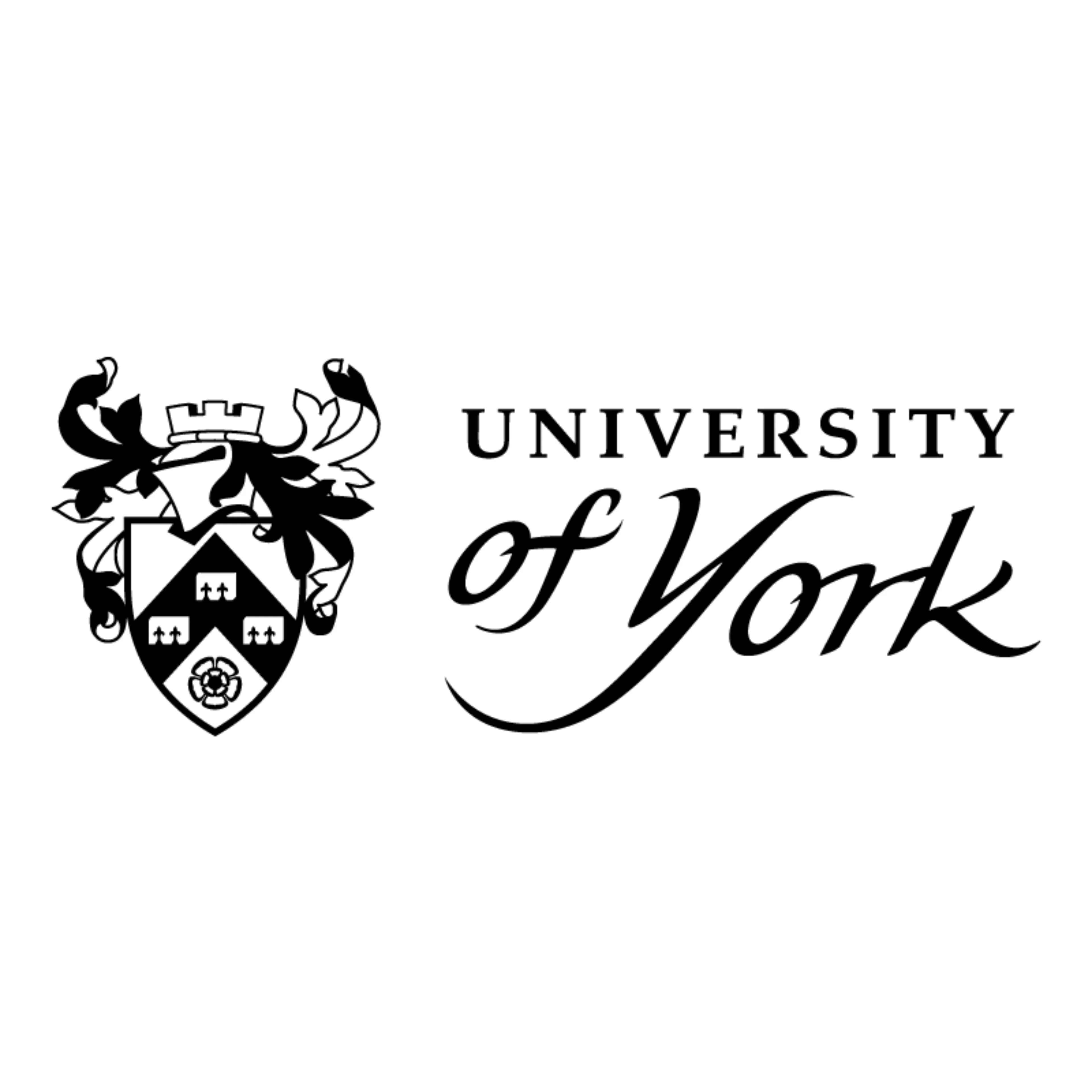 Logo for The University of York Science Education Group (UYSEG)