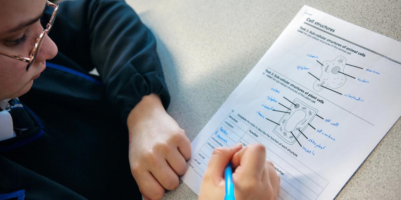 How To Create Your Own Lesson Plan Template Oak National Academy how-to-create-your-own-lesson-plan-template-oak-national-academy